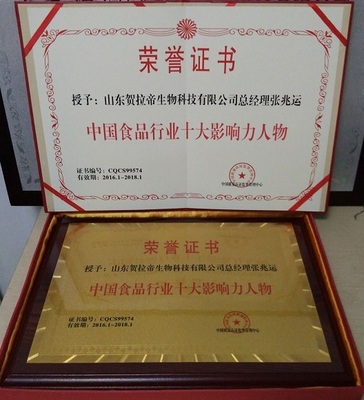 钢艺科技与中国节能建材 荣誉证书办理助力企业绿色发展